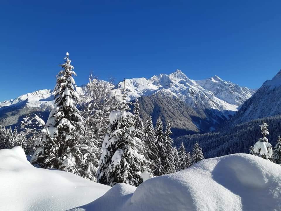 Superbe Studio Aux 7 Laux La Ferrière Buitenkant foto