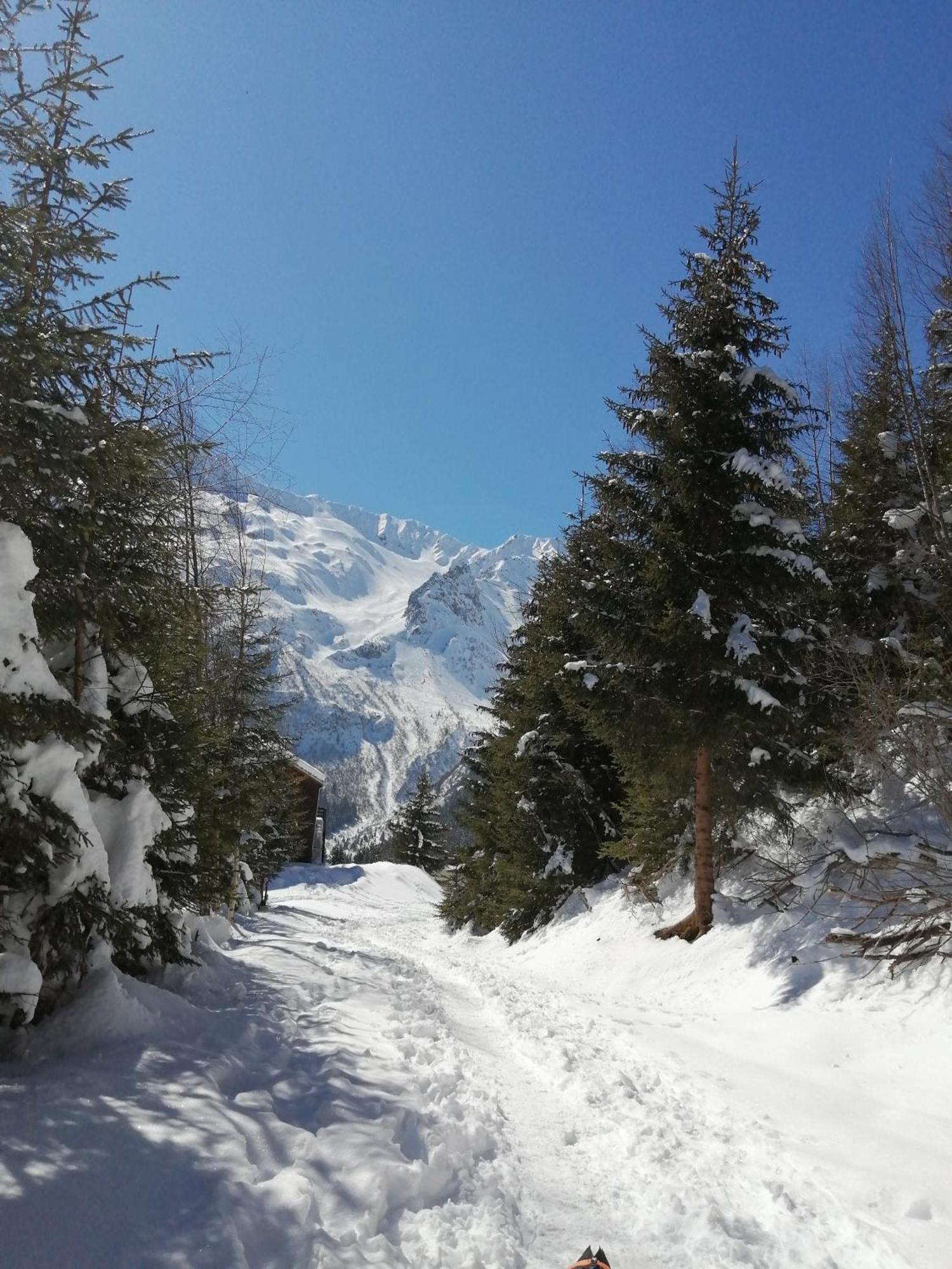 Superbe Studio Aux 7 Laux La Ferrière Buitenkant foto